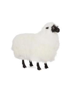 Lucie Baby Sheep