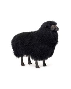 Theo Baby Sheep