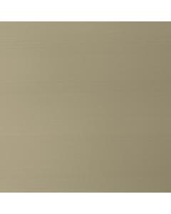 Champagne Silver - Metal